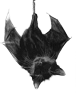 Cat Bat Closed