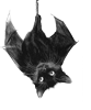 Cat Bat