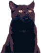 Midnight Image
